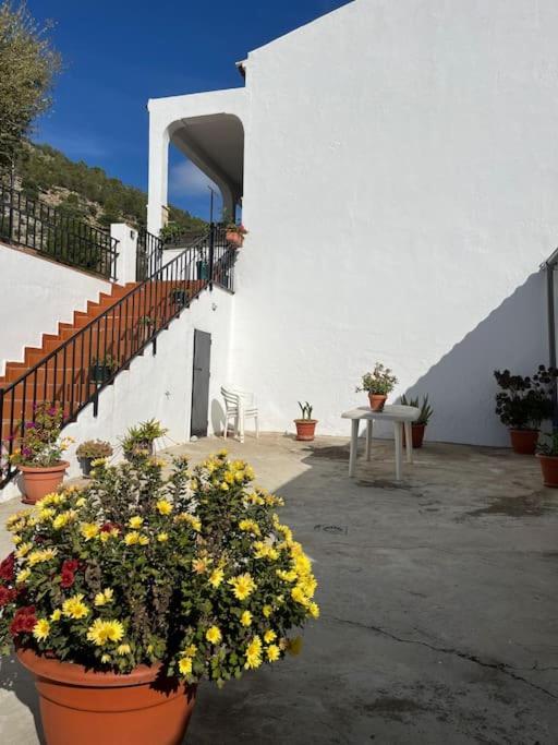 Vila Casa La Fuente Alta Algodonales Exteriér fotografie